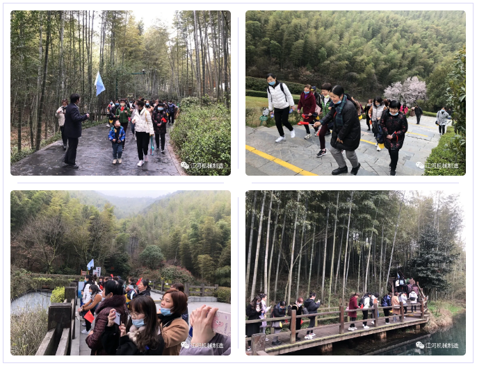 江苏香蕉视频在线免费女神节的旅游纪录